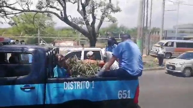 Policía detiene a vendedores de hojas de eucalipto bajo la justificación de que en Nicaragua no hay Coronavirus