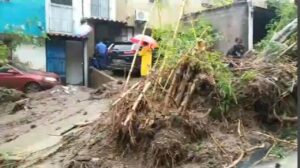 Árboles desprendidos, vehículos arrastrados y casas afectadas por derrumbes en San Salvador 