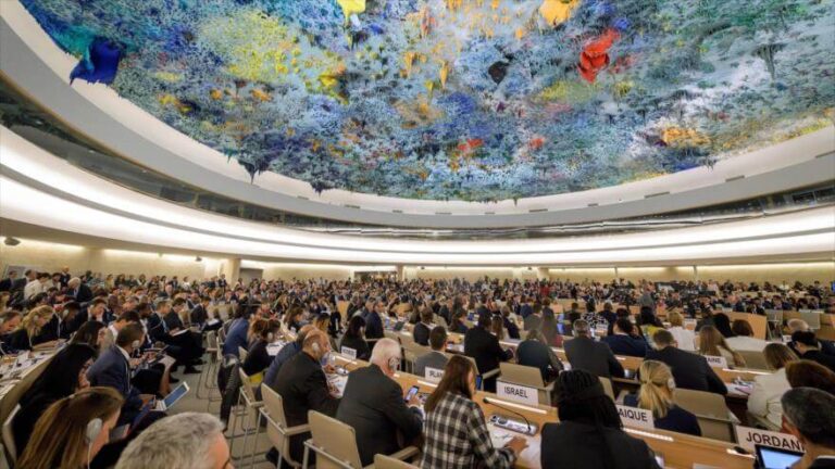 Consejo de Derechos Humanos de la Organización de las Naciones Unidas (ONU)