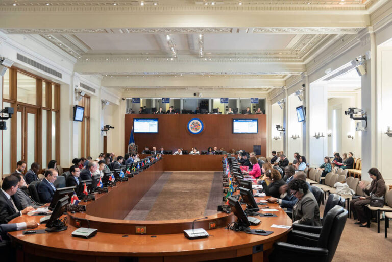 Consejo Permanente de la Organización de Estados Americanos (OEA)
