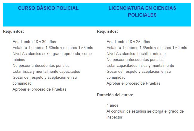 Captura de pantalla de los requisitos en la página web de la Policía Nacional de Nicaragua