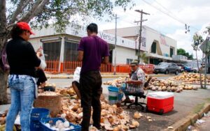 Ciudadanos venden cocos en los semáforos de Managua para general ingresos y garantizar los alimentos a sus familias