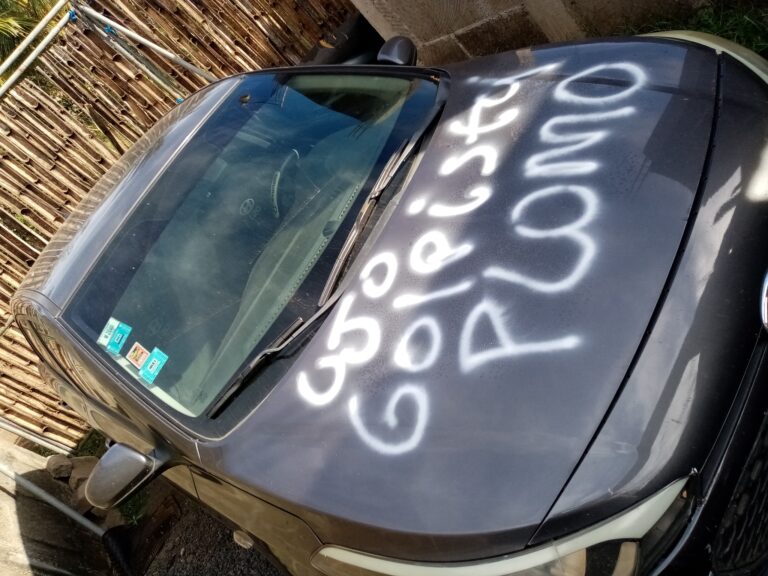 Sandinistas pintan vehículo del opositor Roger Reyes