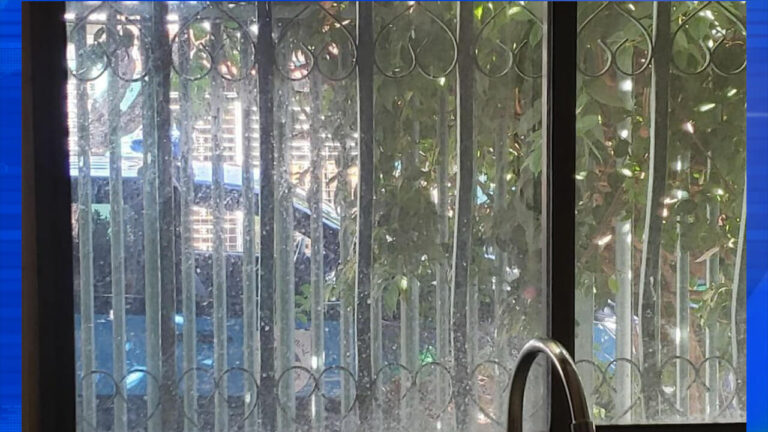 En la vivienda se encuentran al menos 6 miembros de la organización opositora, junto a ellos menores de edad