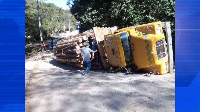 Camión cargado con madera preciosa causa dudas sobre suspensión de veda forestal