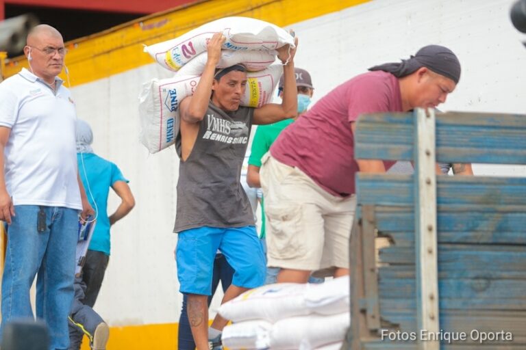 Alimentos donados por el PMA NicaraguaActual