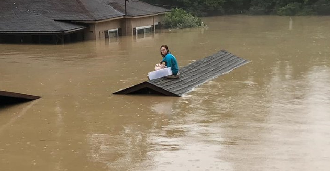 mujer salva a un perro de morir ahogado tras las inundaciones que azotan el estado de kentucky foto cortesia