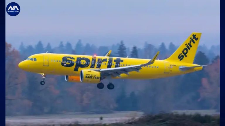 spirit airlines