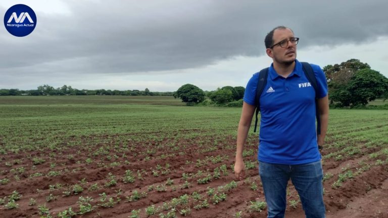terreno que estaba destinado para la construccion de un estadio de futbol es usado para siembra de mani foto cortesia
