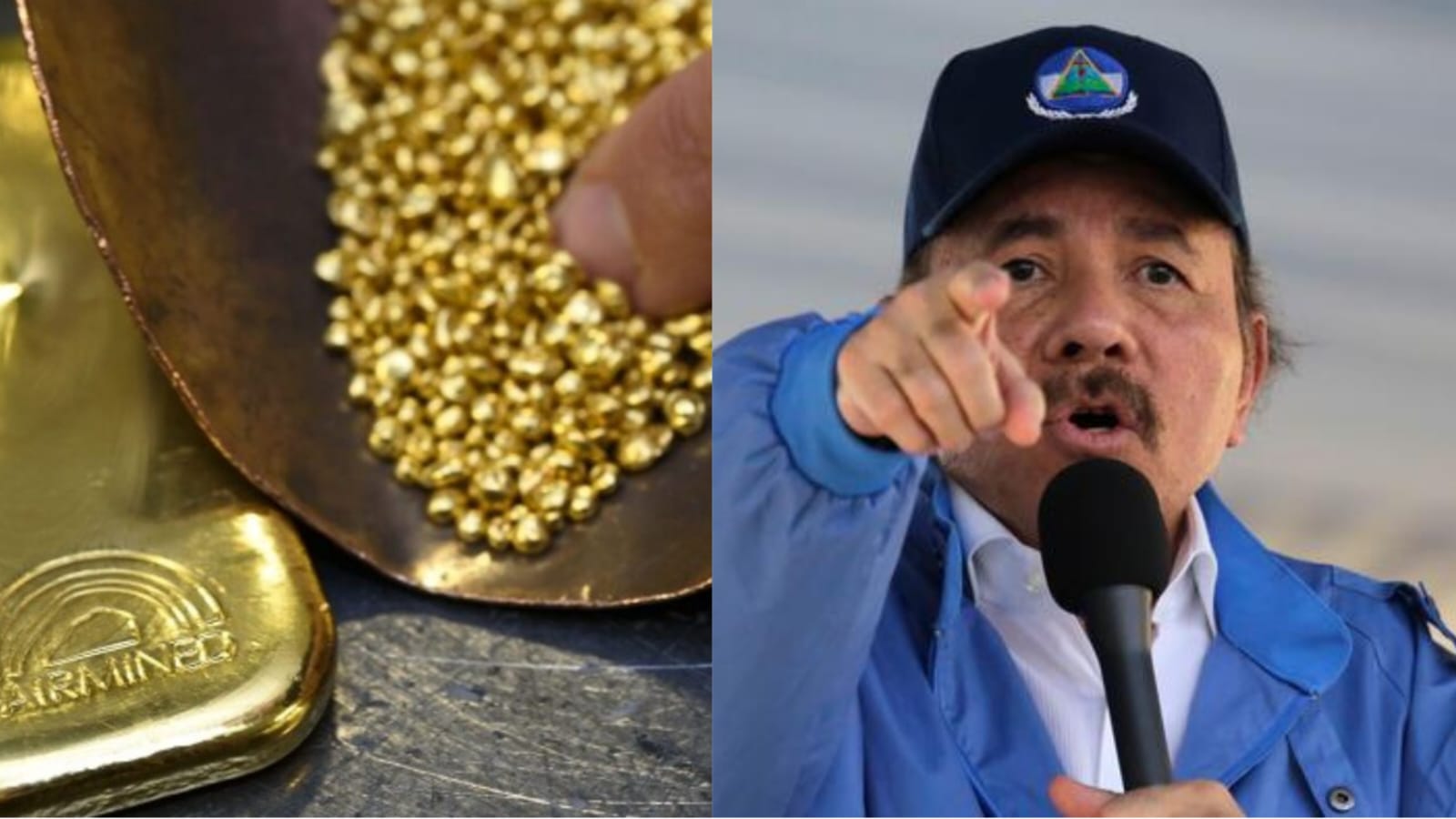 oro Ortega exportación