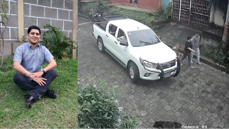 perro camioneta