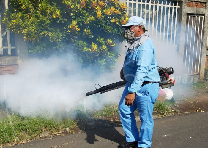 trabajadores del minsa fumigan casa a casa contra el zancudo transmisor del dengue y la malaria