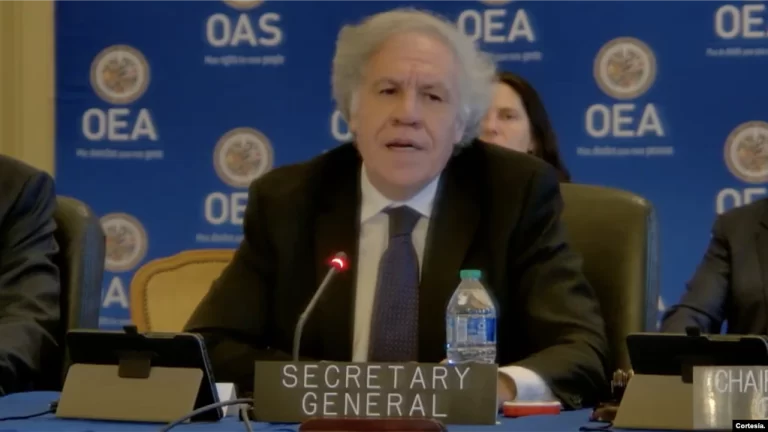El secretario general de la OEA, Luis Almagro, durante la sesión extraordinaria celebrada este miércoles para abordar la situación en Perú. [Foto: Cortesía/OEA]
