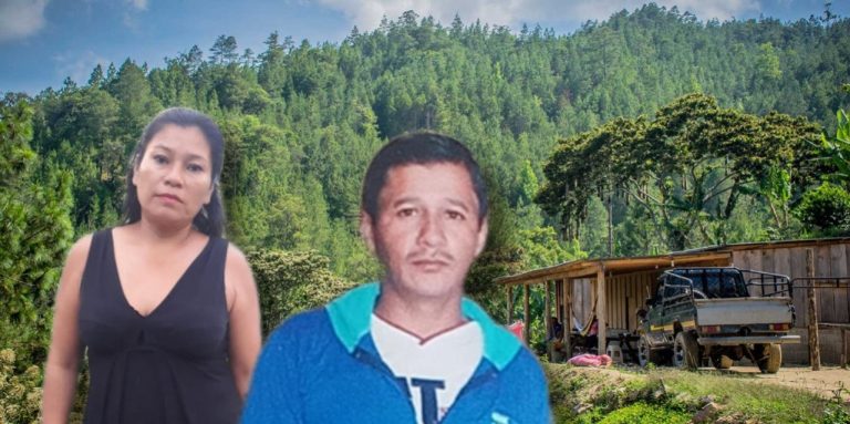 desaparecidos en el norte alerta a familias