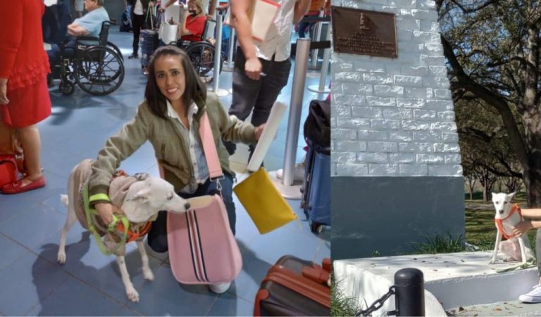 Coco parole humanitario