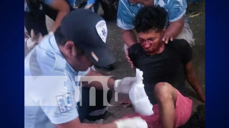 sujeto es agredido por dos perros cuando intento robar en una casa en las sierritas managua foto tomada de tn8