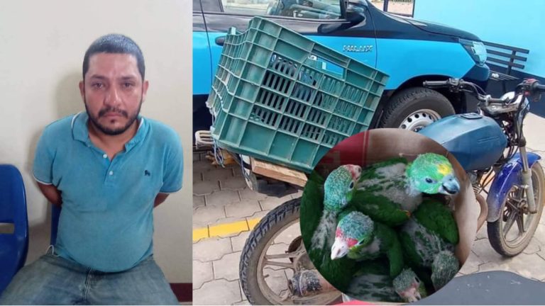Policía y Marena capturan a sospechoso por tráfico de animales. Foto: redes sociales