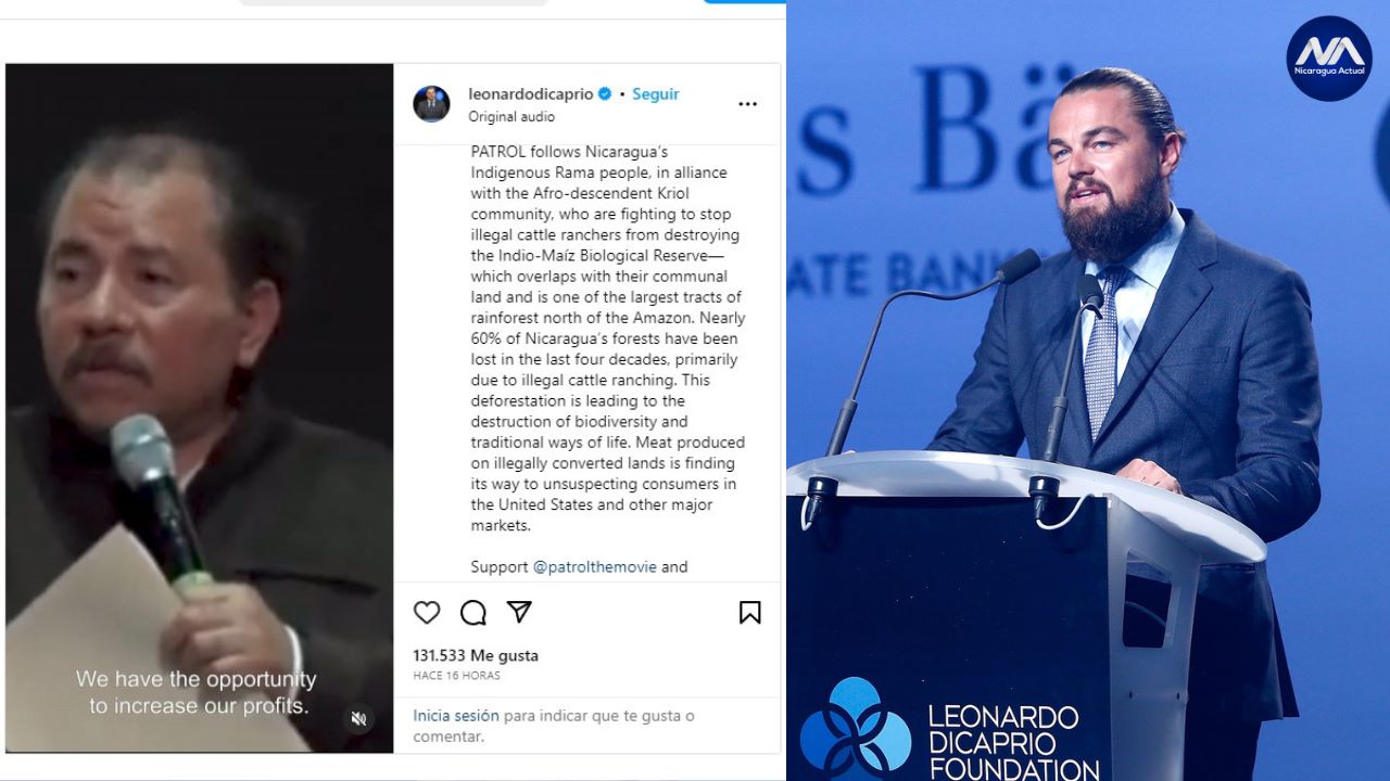 Leonardo DiCaprio se suma a campaña para proteger la reserva Indio Maíz Foto Nicaragua Actual