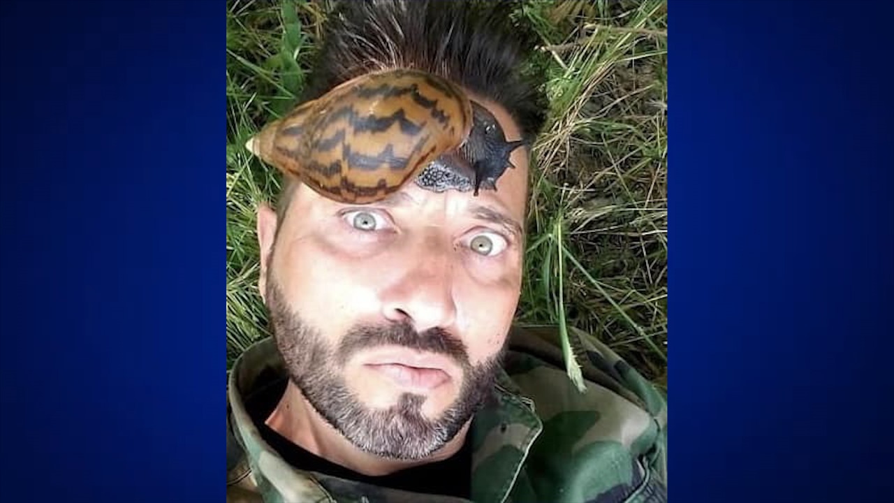 Pedro Sierra, ex militar español señalado de introducir caracol gigante africano a Nicaragua