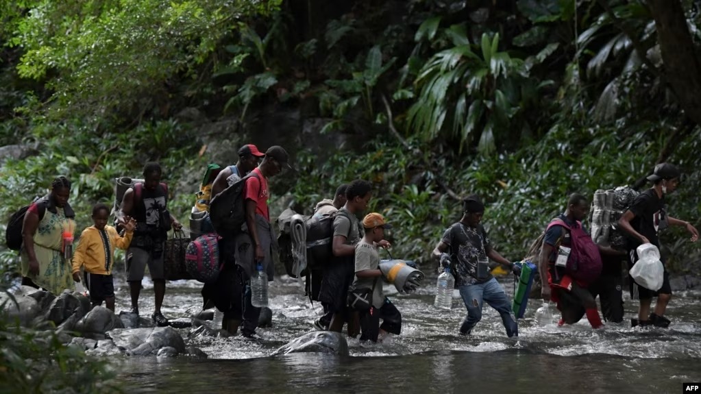éxodo de migrantes en la jungla El Darién ha incrementado, reportan las autoridades Foto VOA