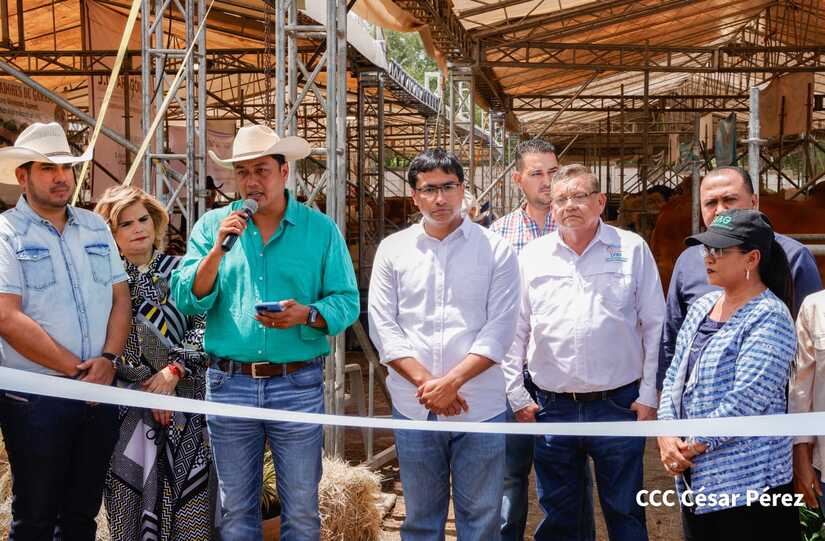 funcionarios de Ortega inauguran Feria Ganadera Managua 2023, una copia barata de Expica