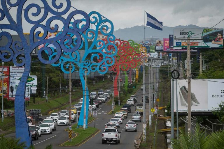Chayopalos vuelven a ser instalados en Managua.