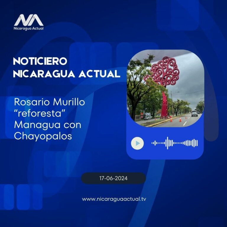 Rosario Murillo “reforesta” Managua con Chayopalos
