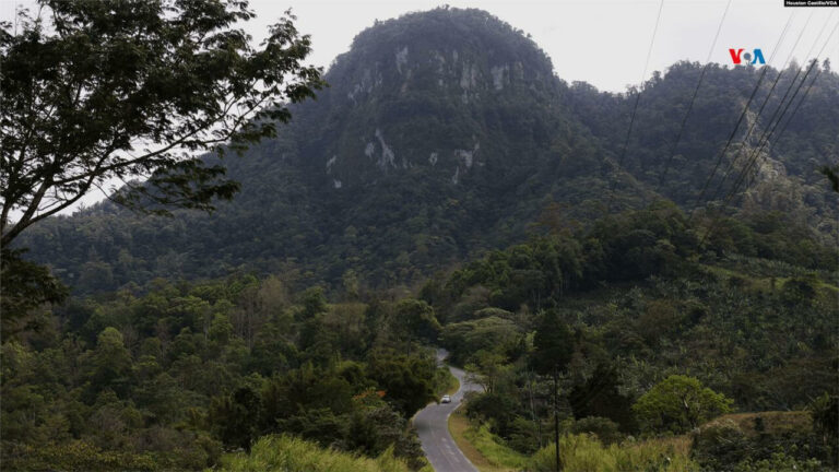 Nicaragua lleva un "acelerado" deterioro en las pérdidas de sus bosques, según expertos.