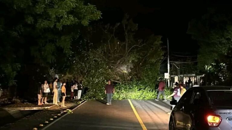 arbol cae sobre camioneta en masaya foto nicaragua actual