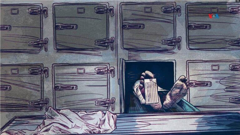 Ilustración de una morgue estadounidense. Ilustración VOA, William Valencia