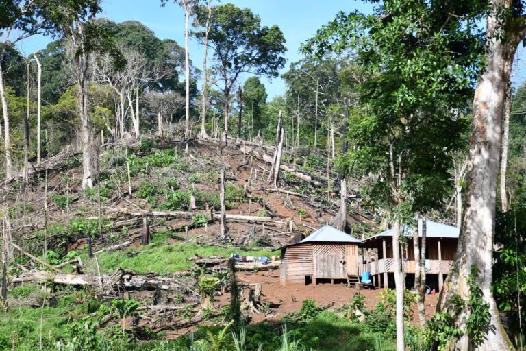 Fundación del Río denuncia invasión masiva al refugio Río San Juan, con respaldo estatal, minería ilegal y dragado sin permisos en la frontera